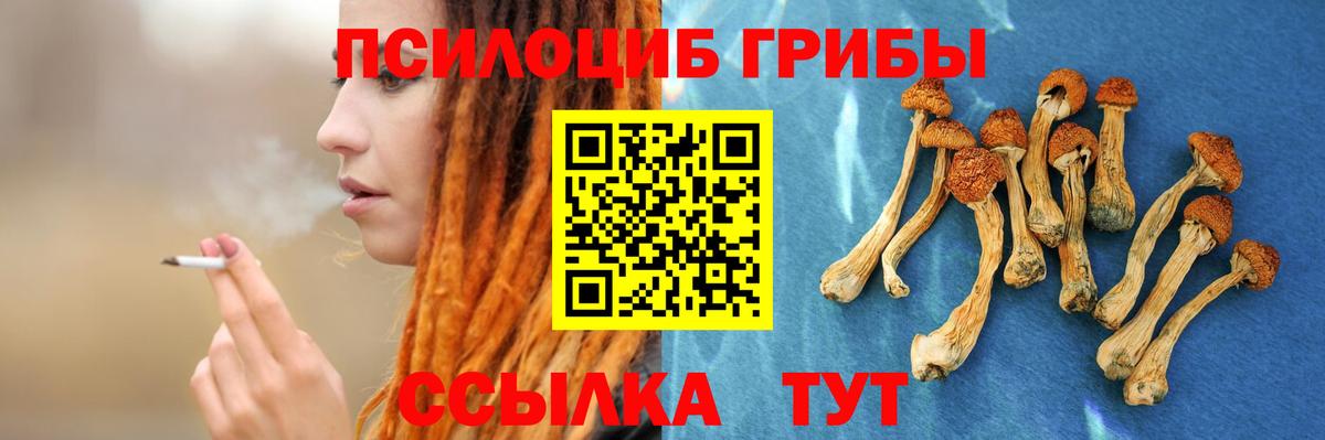 Галлюциногенные грибы GOLDEN TEACHER  Псилоцибиновые грибы MAGIC MUSHROOMS  Химки  Вход с VPN 